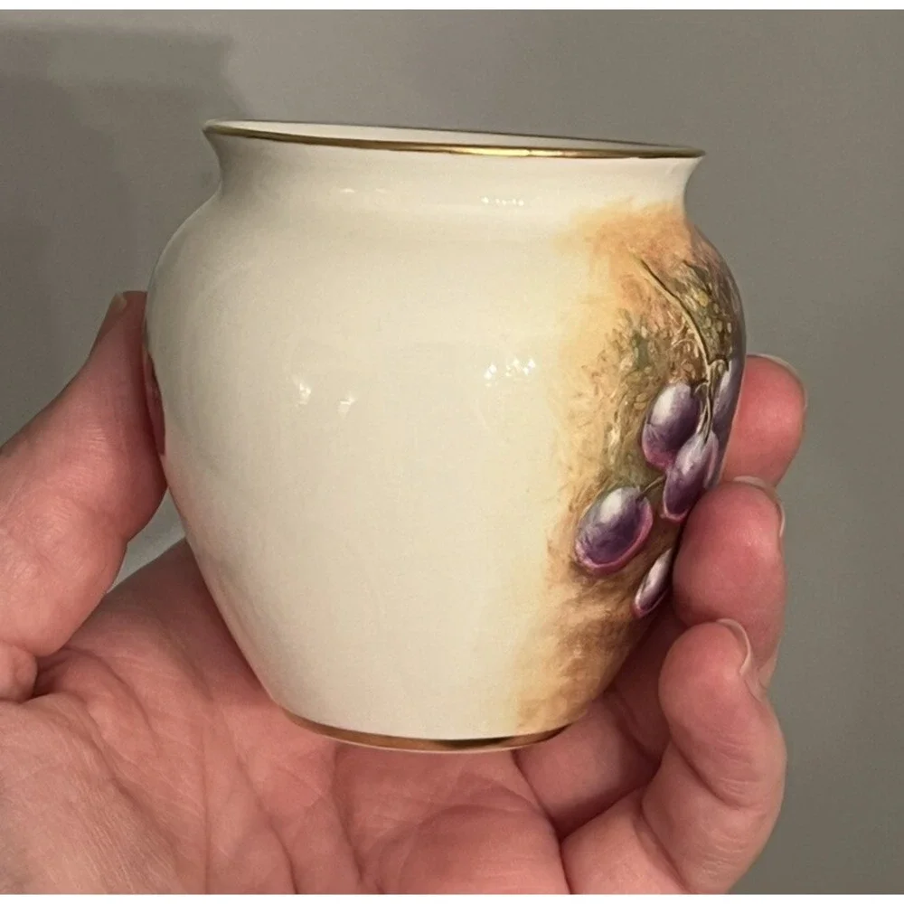 Royal Worcester Bone China Bryan Cox Handpainted Fruit Mini 3